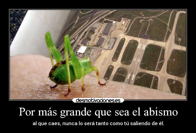 Por más grande que sea el abismo - al que caes, nunca lo será tanto como tú saliendo de él.