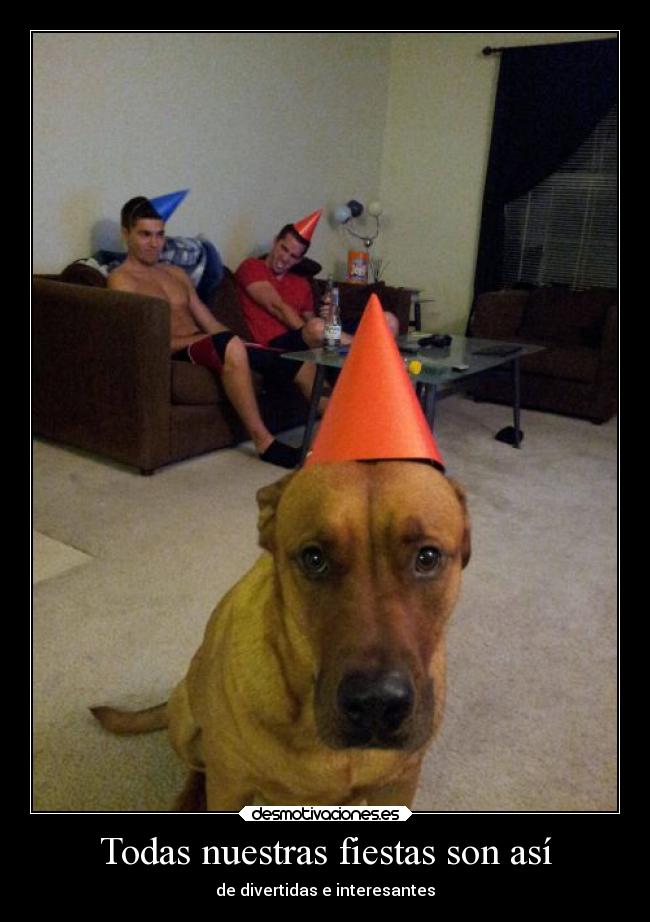 Todas nuestras fiestas son así - de divertidas e interesantes