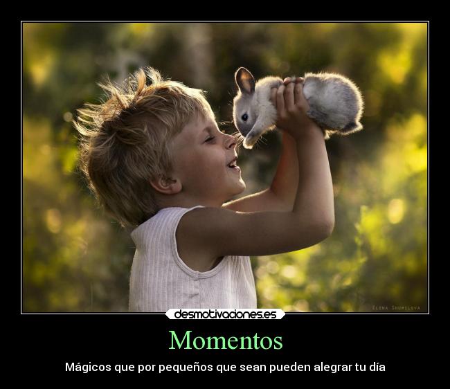 Momentos -