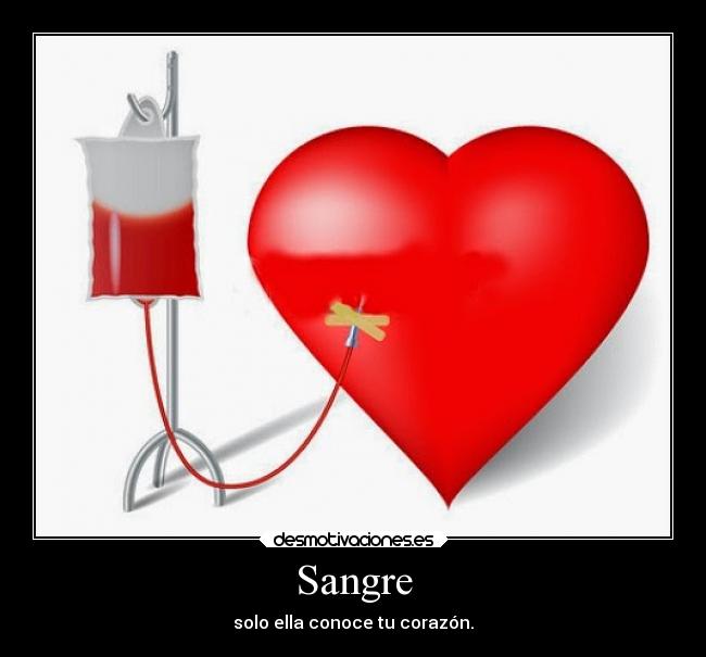 Sangre - solo ella conoce tu corazón.