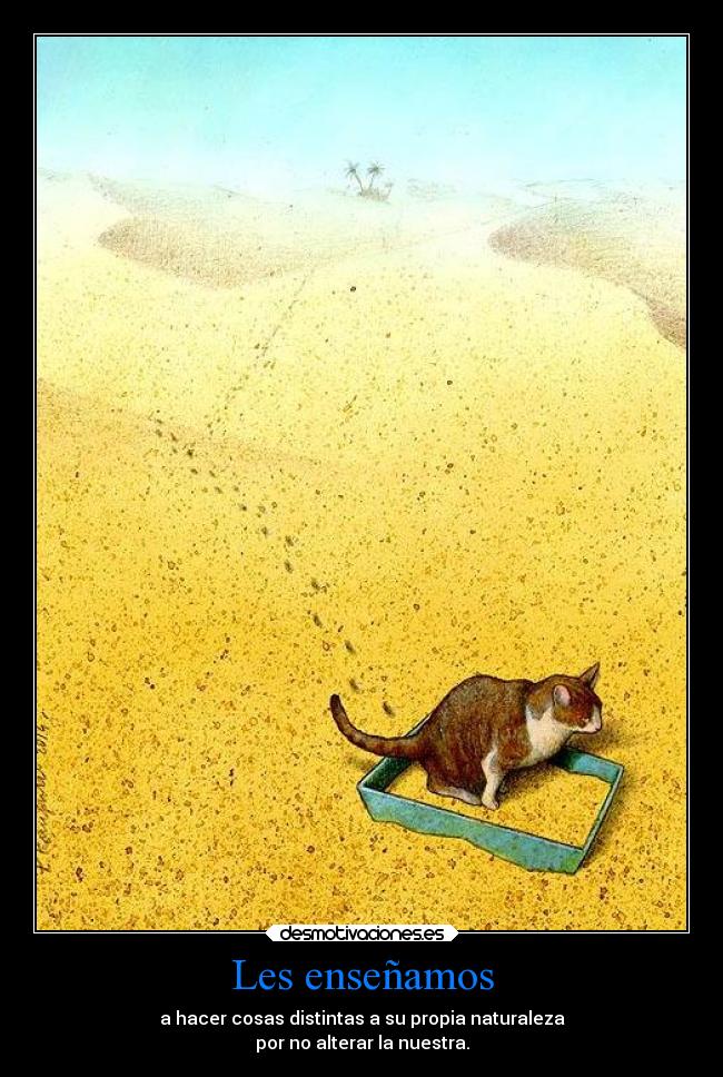 Les enseñamos - 