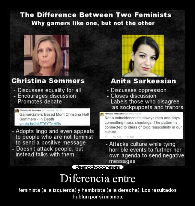 carteles criticas theinmortals mortals raptorhunters anita sarkeesian cristina sommers hembrismo feminismo desmotivaciones