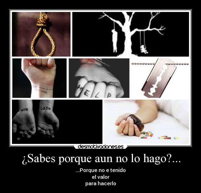 ¿Sabes porque aun no lo hago?... - ...Porque no e tenido
el valor
para hacerlo