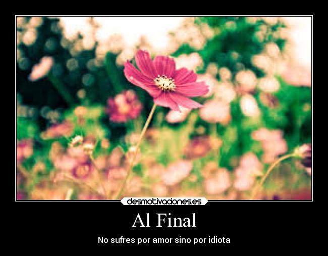 Al Final - No sufres por amor sino por idiota