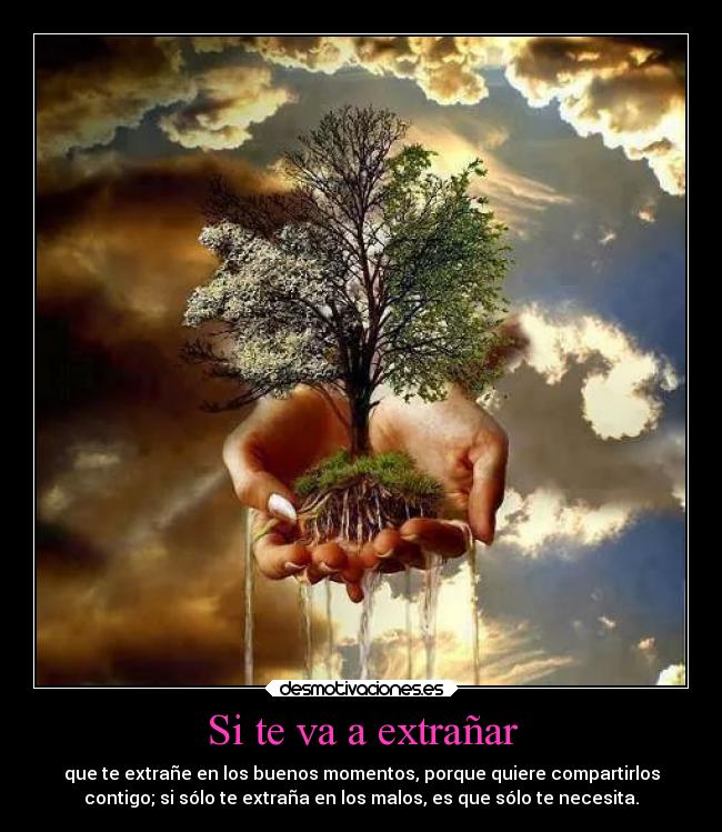 Si te va a extrañar -