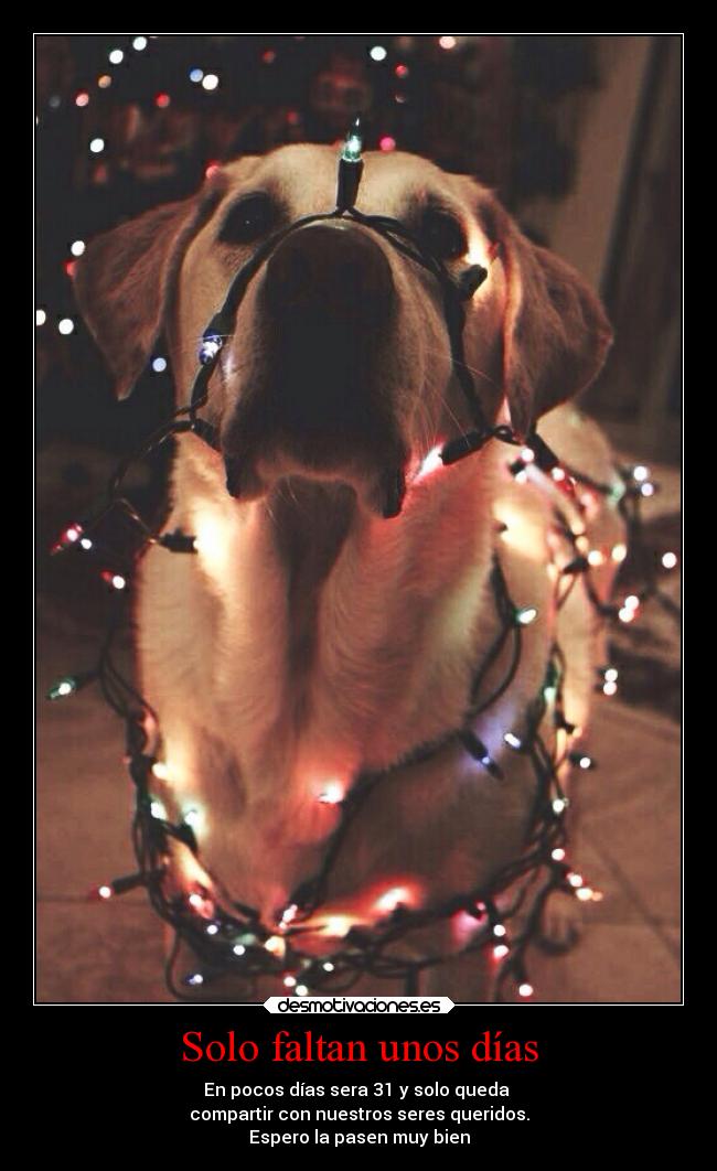 carteles deseos navidad desmoc3 desmotivaciones