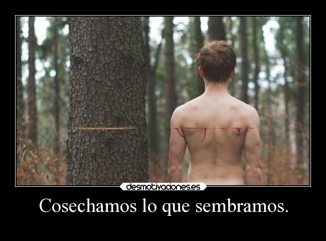 Cosechamos lo que sembramos. - 