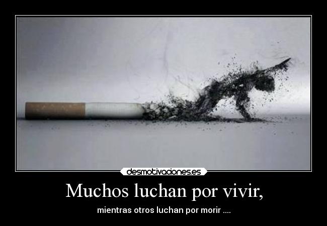 Muchos luchan por vivir, - mientras otros luchan por morir ....