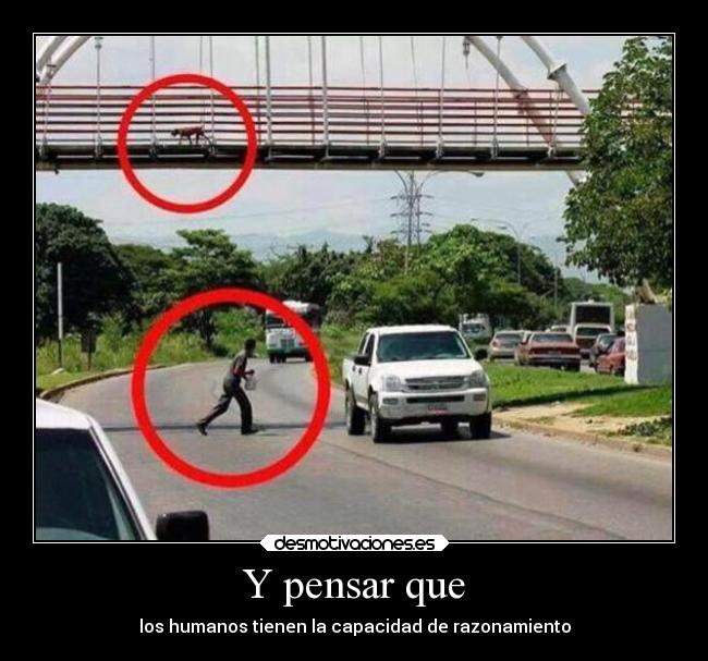 carteles desmotivaciones desmotivaciones