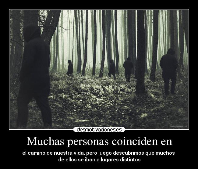 Muchas personas coinciden en - el camino de nuestra vida, pero luego descubrimos que muchos 
de ellos se iban a lugares distintos