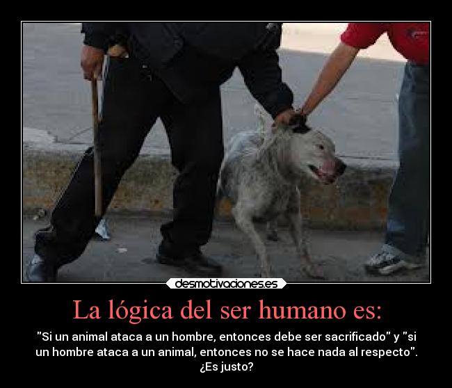 La lógica del ser humano es: -