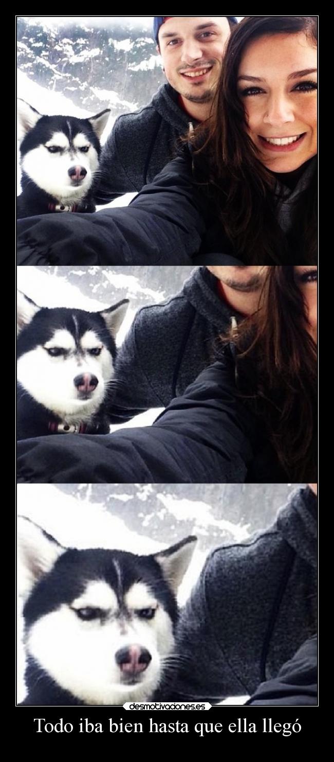 carteles desmotivaciones tonteriasde karoke tumblr quetenganunbuenano desmotivaciones