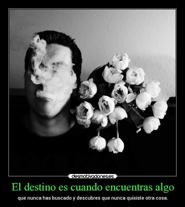 carteles destino desmotivaciones desmotivaciones