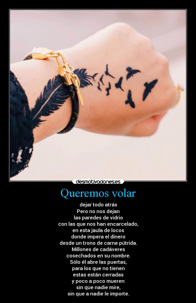 Queremos volar - 