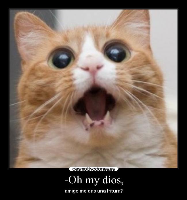 -Oh my dios, - amigo me das una fritura?