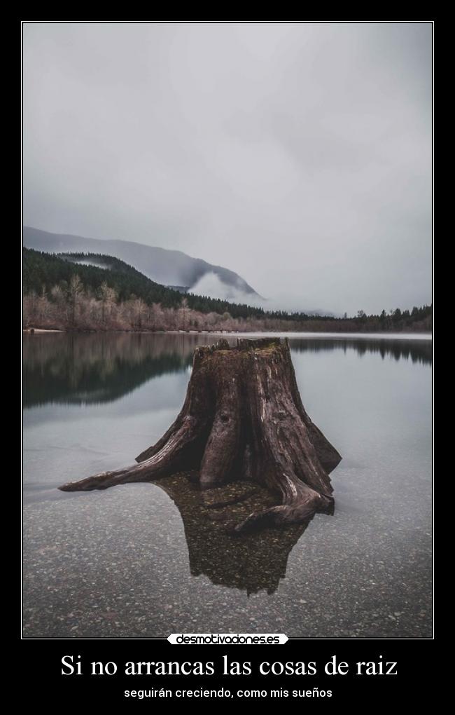 Si no arrancas las cosas de raiz - seguirán creciendo, como mis sueños