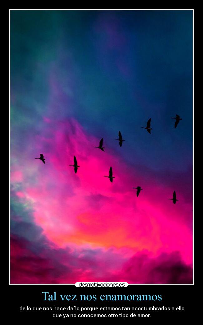 Tal vez nos enamoramos - de lo que nos hace daño porque estamos tan acostumbrados a ello
que ya no conocemos otro tipo de amor.