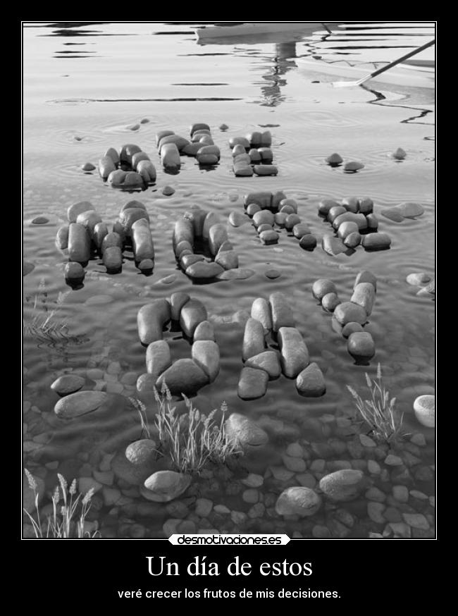 Un día de estos - veré crecer los frutos de mis decisiones.
