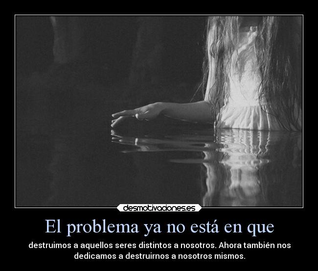 carteles dolor estoysola queteden estoyrota tequierokf soyunidiotatm desmotivaciones