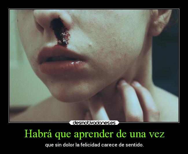 Habrá que aprender de una vez - que sin dolor la felicidad carece de sentido.