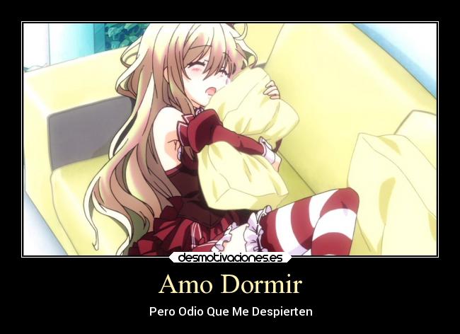 Amo Dormir - 