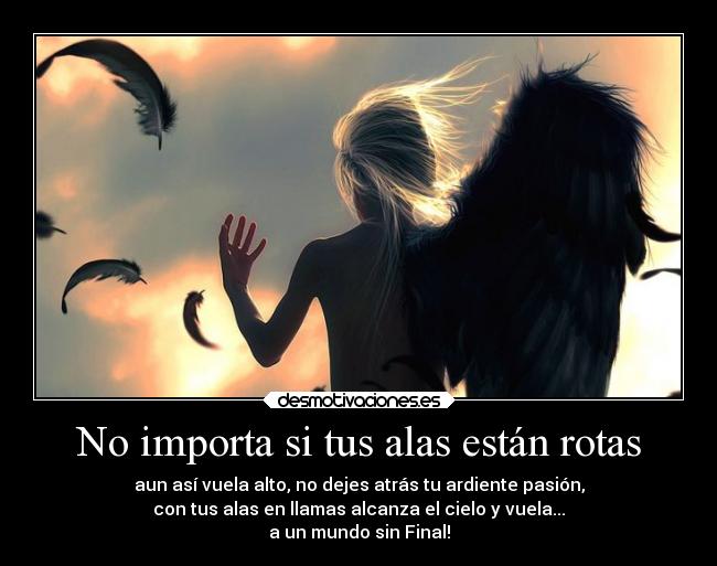 No importa si tus alas están rotas - aun así vuela alto, no dejes atrás tu ardiente pasión,
con tus alas en llamas alcanza el cielo y vuela...
a un mundo sin Final!