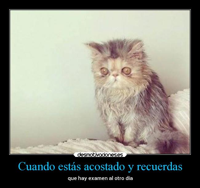 carteles examenes fail animales pukeface desmotivaciones