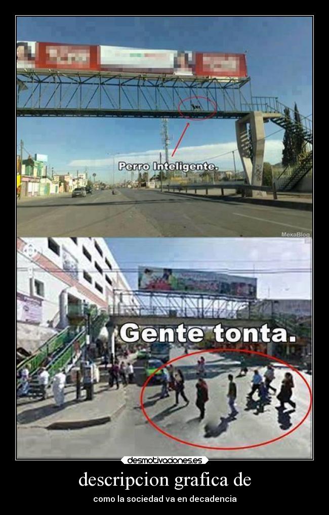 descripcion grafica de -