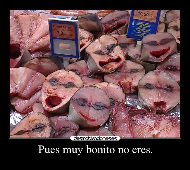 Pues muy bonito no eres. - 