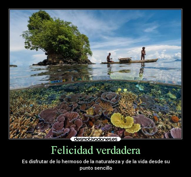 carteles felicidad naturaleza felicidad desmotivaciones