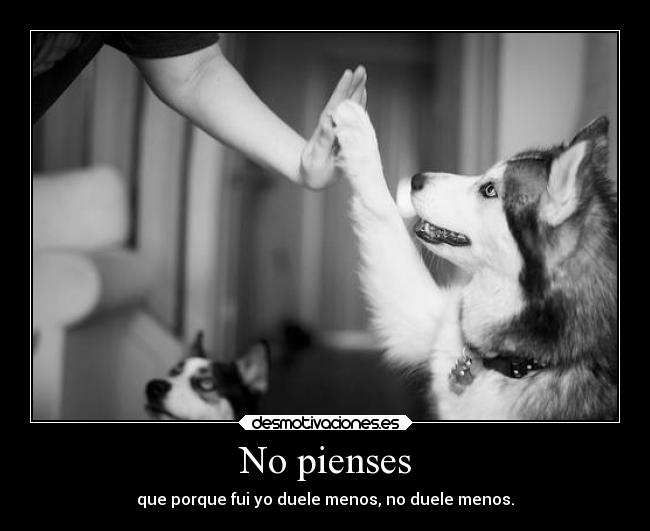 No pienses - que porque fui yo duele menos, no duele menos.