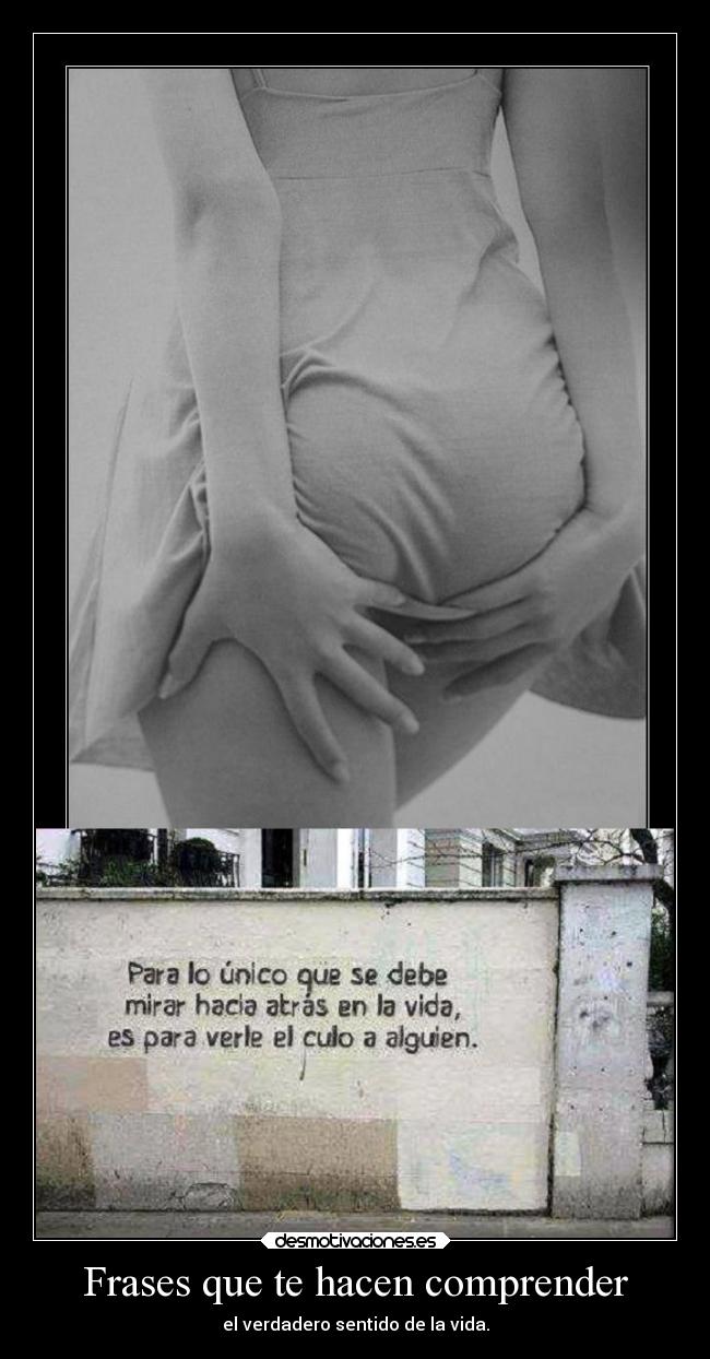 Frases que te hacen comprender - 