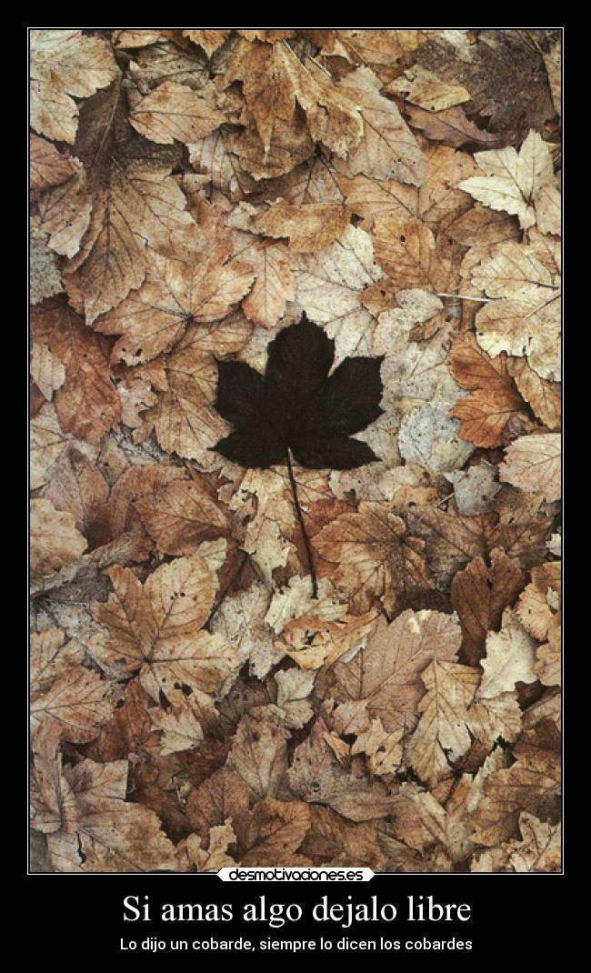 Si amas algo dejalo libre - 