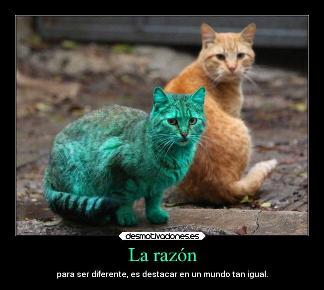 La razón - para ser diferente, es destacar en un mundo tan igual.