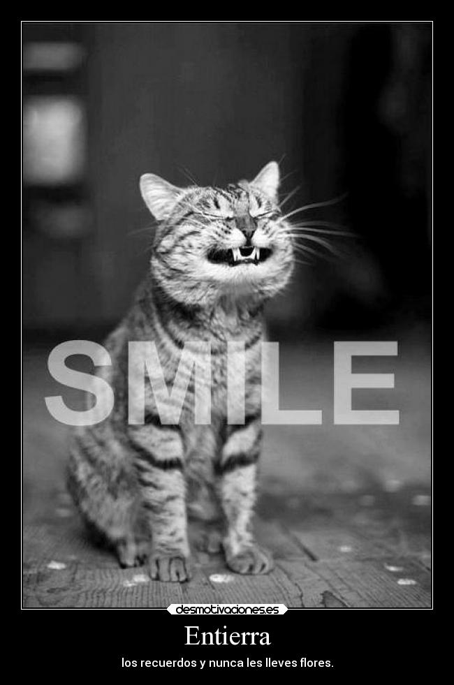 Entierra - los recuerdos y nunca les lleves flores.