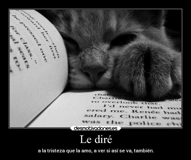 Le diré - a la tristeza que la amo, a ver si así se va, también.