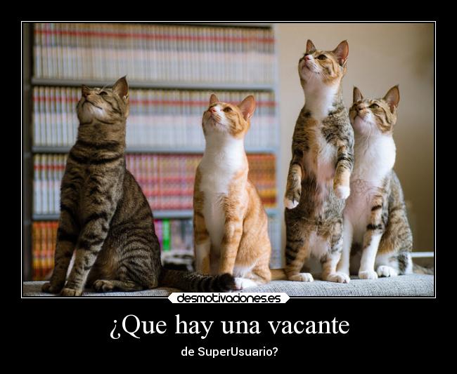 ¿Que hay una vacante - 