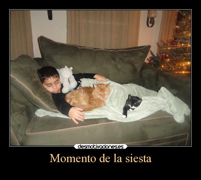 Momento de la siesta -
