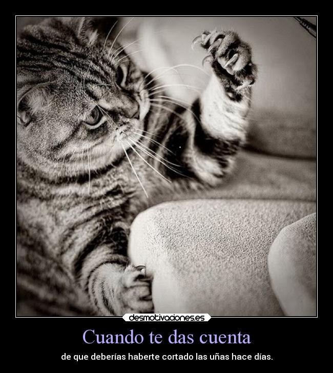 Cuando te das cuenta -