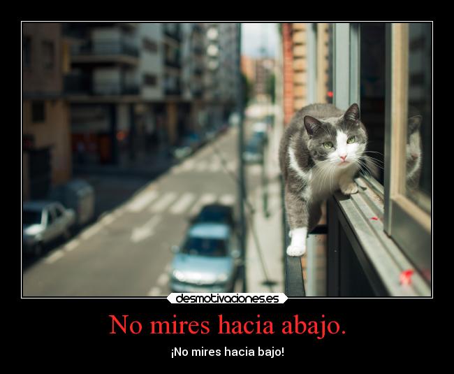 No mires hacia abajo. -