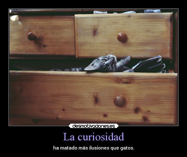 La curiosidad - ha matado más ilusiones que gatos.