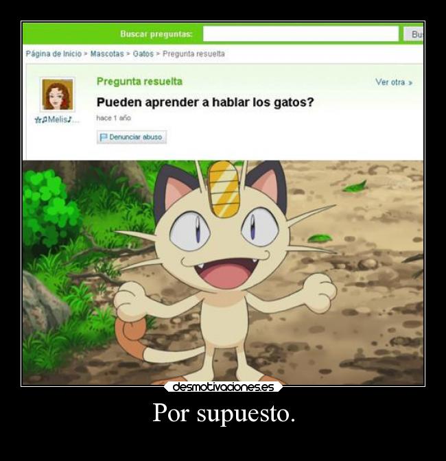 carteles gatos pokemon meowth team rocket parlantes desmotivaciones