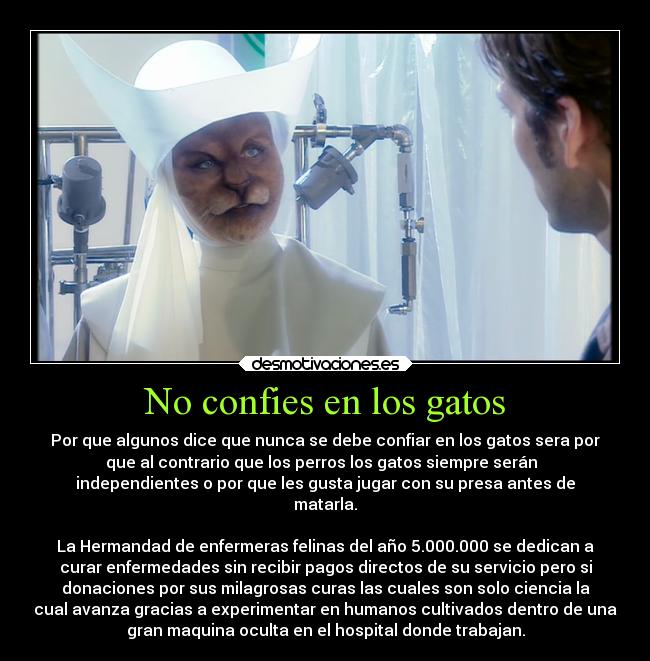 No confies en los gatos - Por que algunos dice que nunca se debe confiar en los gatos sera por
que al contrario que los perros los gatos siempre serán  
independientes o por que les gusta jugar con su presa antes de
matarla.

La Hermandad de enfermeras felinas del año 5.000.000 se dedican a
curar enfermedades sin recibir pagos directos de su servicio pero si
donaciones por sus milagrosas curas las cuales son solo ciencia la
cual avanza gracias a experimentar en humanos cultivados dentro de una
gran maquina oculta en el hospital donde trabajan.