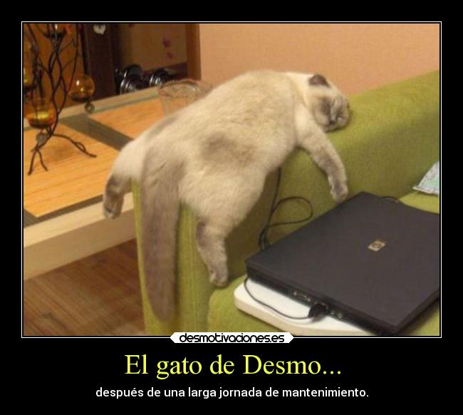 carteles gatos trabajo anime animales desmotivaciones