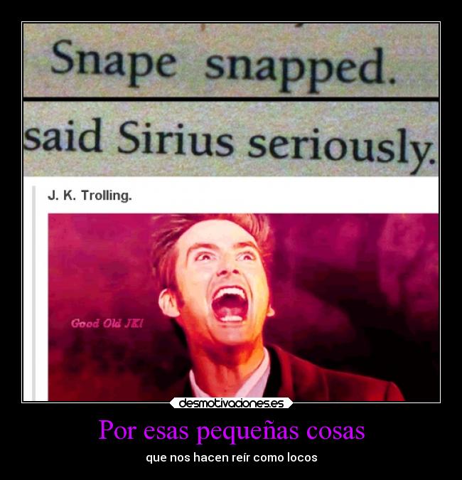 carteles graciosas chiste santalucia tonterias pequenas cosas libro leer lectura harrypotter potter desmotivaciones