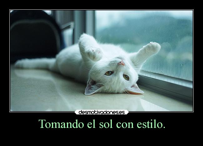 Tomando el sol con estilo. -