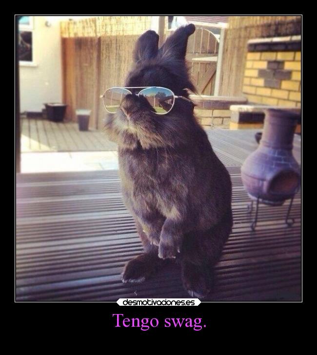 Tengo swag. - 