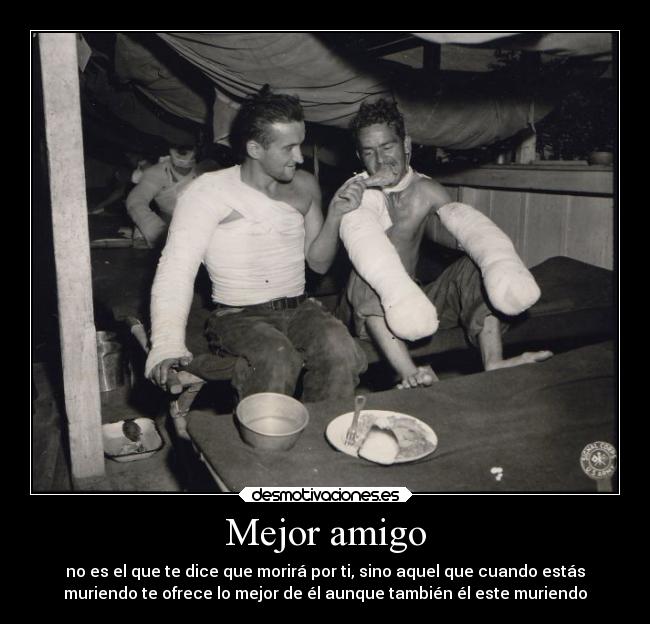 Mejor amigo - no es el que te dice que morirá por ti, sino aquel que cuando estás
muriendo te ofrece lo mejor de él aunque también él este muriendo