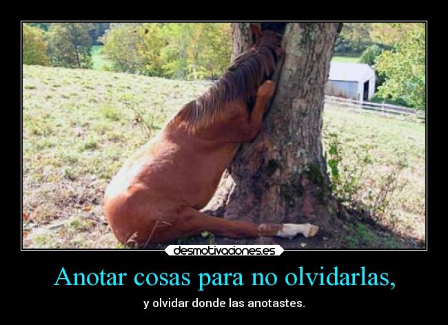 Anotar cosas para no olvidarlas, -