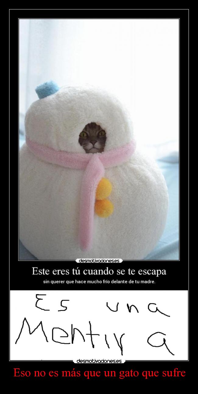 Eso no es más que un gato que sufre - 